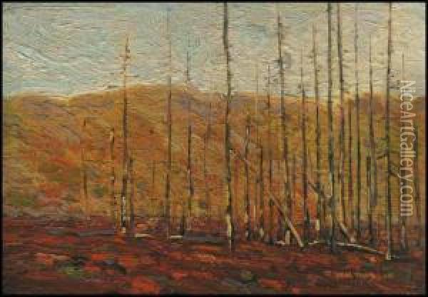 Autumn, Algonquin Park Oil Painting - Tom Thomson