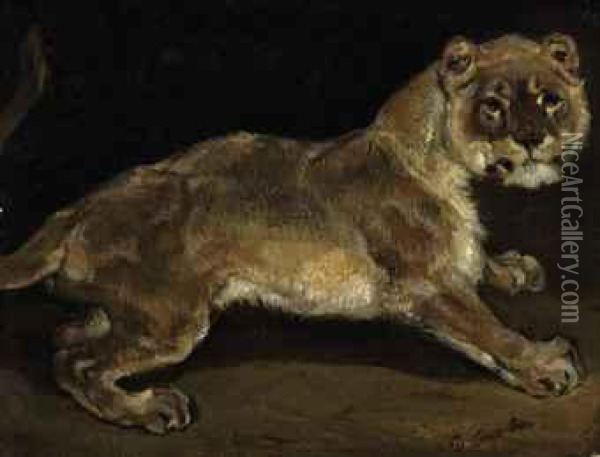 A Lioness Oil Painting - Theodore Gericault