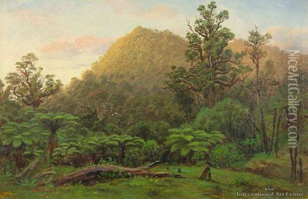 Mamaku Ranges, Rotorua Oil Painting - Charles Blomfield