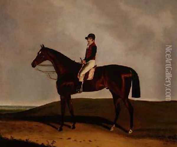 A Bay Racehorse 1851 Oil Painting - C. Markham