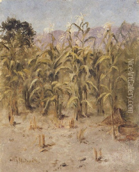 The Cornfield Oil Painting - Grace Carpenter Hudson