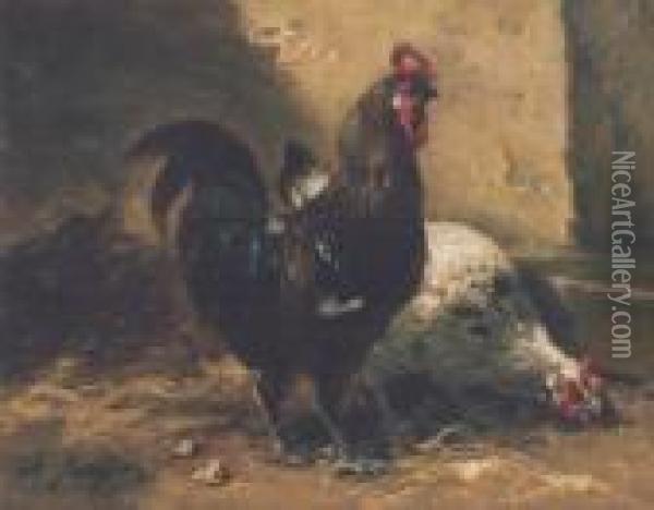 Coq Et Poule Oil Painting - Charles Emile Jacque