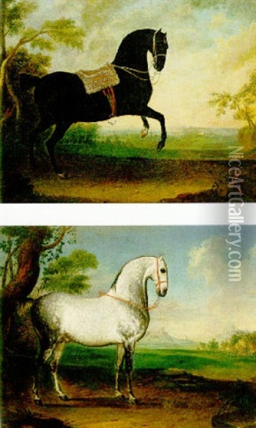 A Black Lipizzaner Stallion Oil Painting - Leopold Axtmann