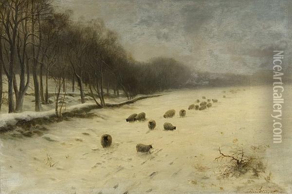 Sheep In A Snowy Landscape Oil Painting - Daniel Sherrin