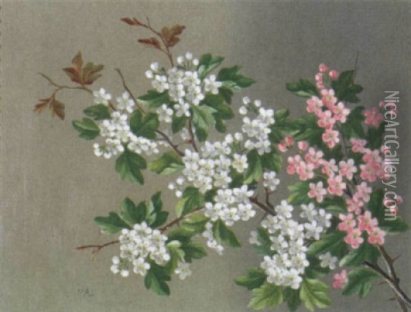 Blomstrende Aebletraesgrene Oil Painting - Augusta Laessoe