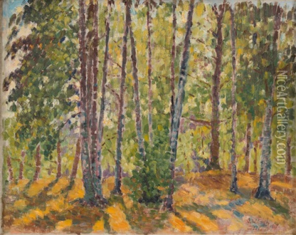 Birch Trees Oil Painting - Alfred William (Willy) Finch