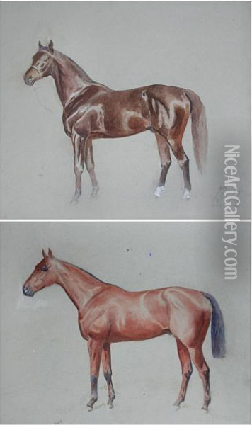 Studies Of Horses Oil Painting - Alfred Bright