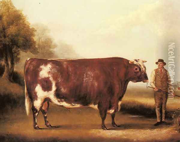 A Dark Roan Bull Oil Painting - William Davis