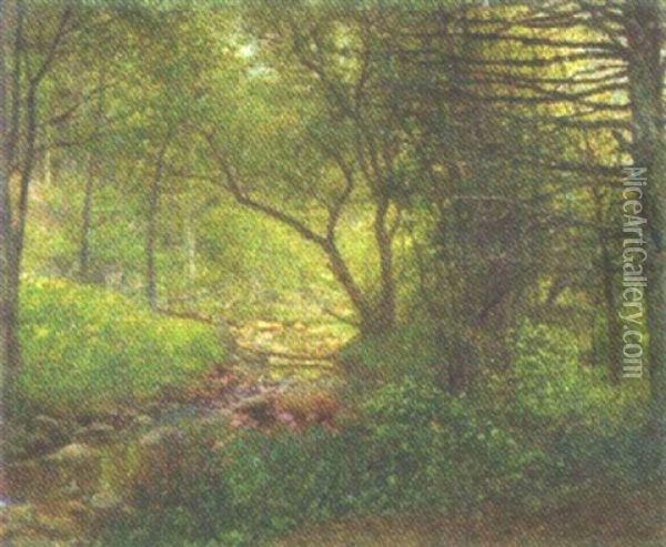 Woods And Stream Oil Painting - William Henry Lippincott