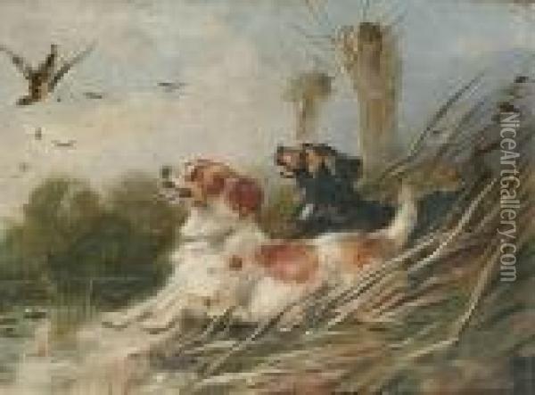 Springer Spaniels Flushing A Mallard Oil Painting - William Walker