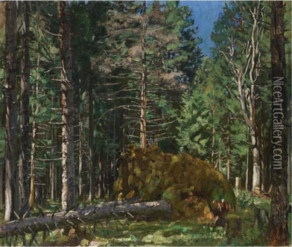Pine Forest Oil Painting - Stanislaw Zukowski