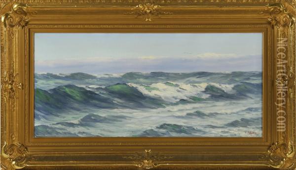 View Of Rolling Waves With Seagulls And Clouds Oil Painting - Charles Edward Hallberg