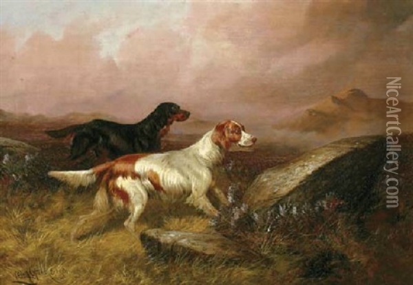 Two Setters On A Grouse Moor Oil Painting - Colin Graeme
