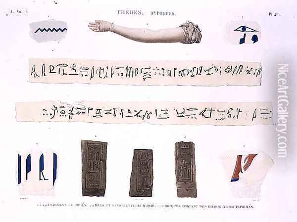 Illustrations of Hieroglyphics and the arm of a mummy from Hypogees Oil Painting - Jomard