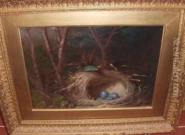 Still Life Of A Bird's Nest In Woodland Oil Painting - William Hughes