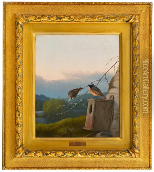 Redstarts At The Nest Oil Painting - Ferdinand von Wright
