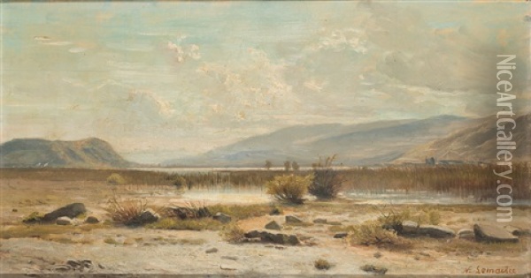 Schilfbewachsene Uferlandschaft Oil Painting - Nathanael Lemaitre