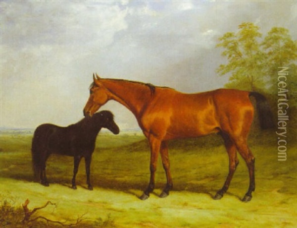 A Bay Gelding With A Black Pony In An Extensive Landscape Oil Painting - Henry Calvert