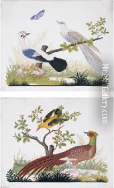 Uccelli Oil Painting - Vittorio Raineri