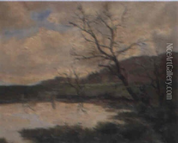 Landschaft Mit Teich Oil Painting - Albert Welti