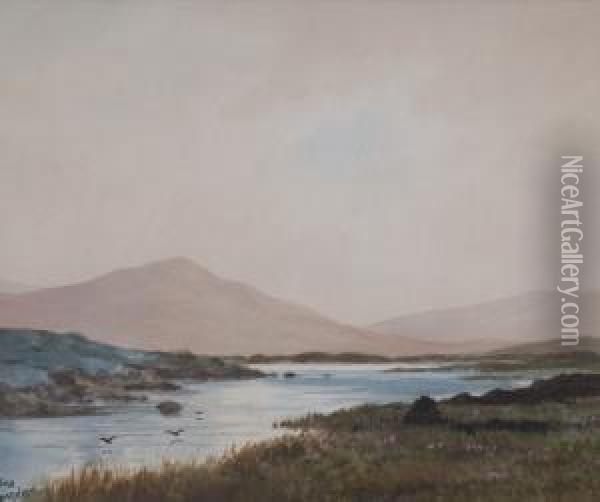 Bog Stream Near Lough Alton Co Donegal Oil Painting - Douglas Alexander