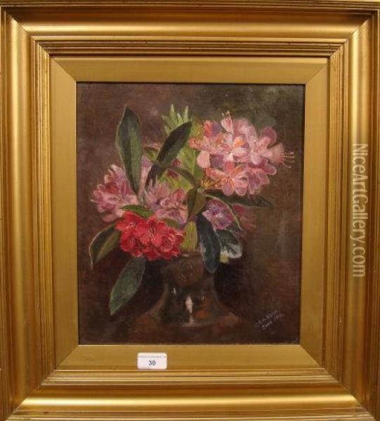 A Still Life Of Magenta Rhododendrons In A Vase Oil Painting - C. F. W. Kerr