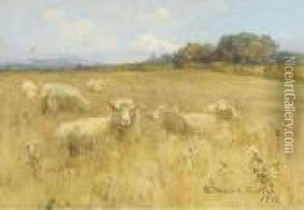 Sheep In A Meadow Oil Painting - Mildred Anne Butler
