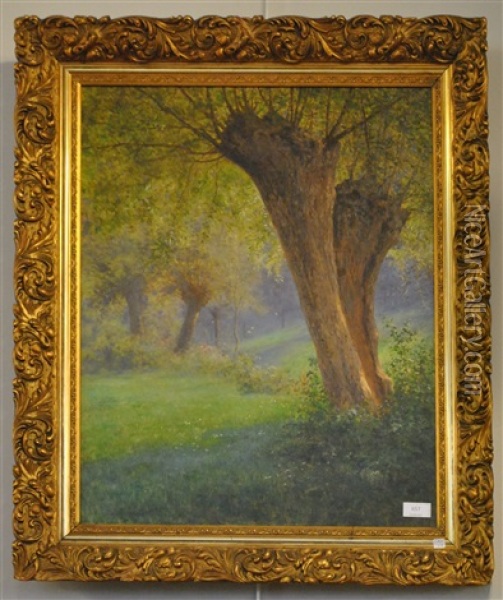 Paysage Lumineux Oil Painting - Maurice Hagemans