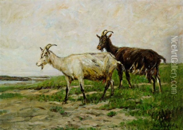 Zwei Ziegen Auf Der Wiese Oil Painting - Johann Daniel Holz