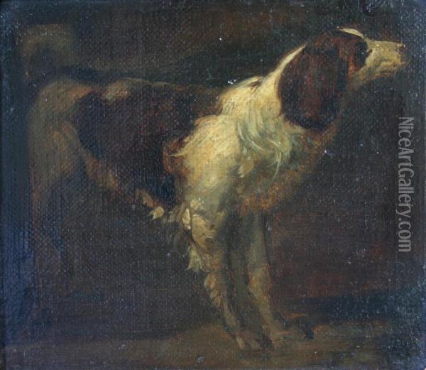 Study Of A Spaniel Oil Painting - Adriaen de Gryef