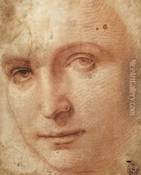 Head of a Youth Oil Painting - Raphael