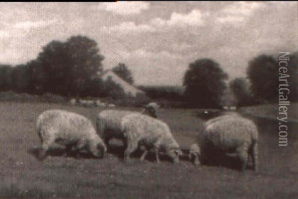 Sheep Grazing Near Farmhouse Oil Painting - Samuel S. Carr