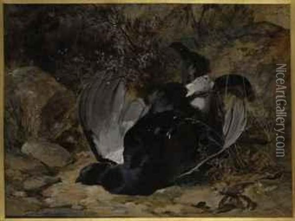 Black Grouse Oil Painting - James Jnr Hardy