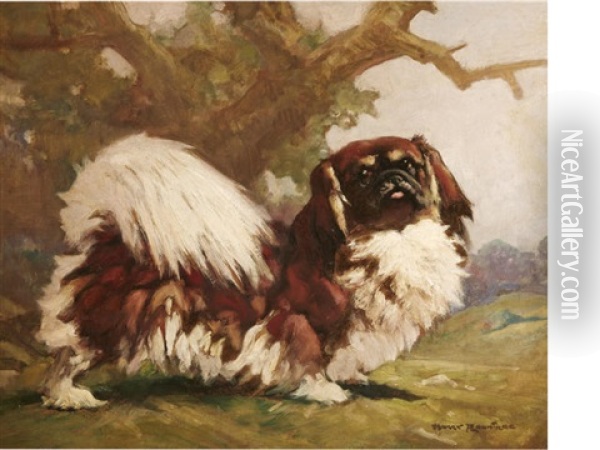 Standing Pekingese Oil Painting - Harry Rountree