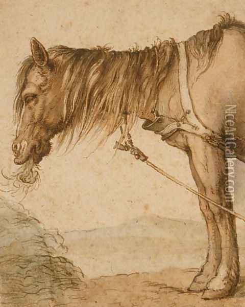 A Horse Eating Hay, c.1600-10 Oil Painting - Abraham Bloemaert