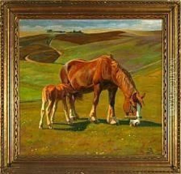 A Horse And A Filly Are Grazing On A Field, Summer Oil Painting - Johannes Resen-Steenstrup