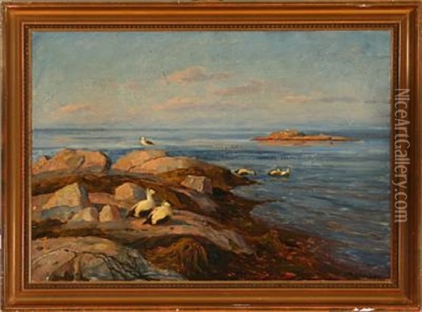 Aerfugl Paa Et Skjaer Oil Painting - Thorolf Holmboe