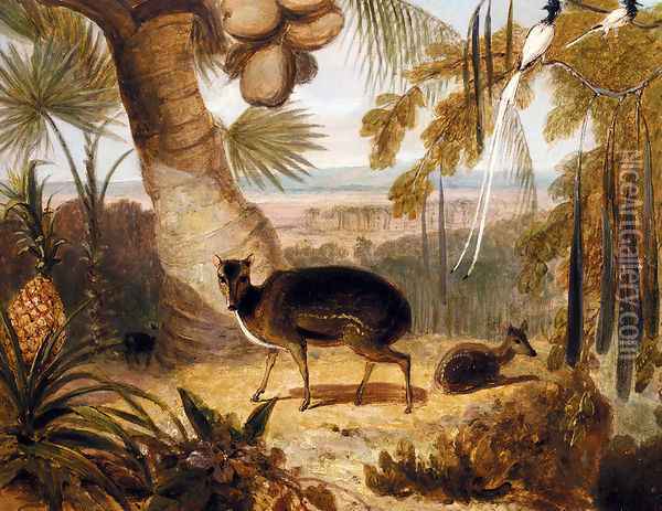 Musk Deer, And Birds Of Paradise Oil Painting - William Daniell RA