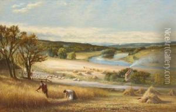 Harvest By The Dee Oil Painting - John Mitchell