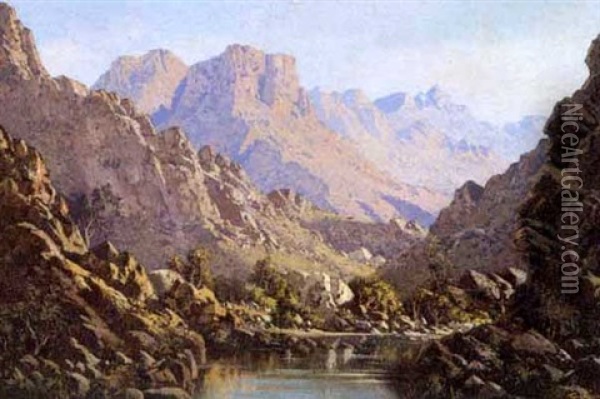 Rock Pool In The Mountains Oil Painting - Tinus de Jongh