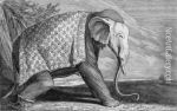 Elefant Oil Painting - Johann Elias Ridinger or Riedinger