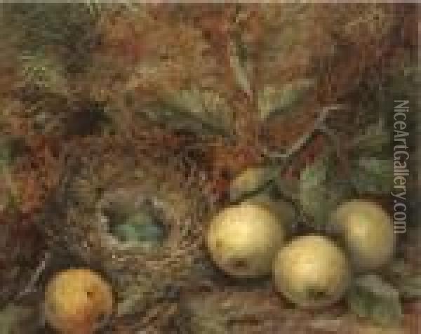 Apples And A Bird's Nest On A Mossy Bank Oil Painting - Oliver Clare