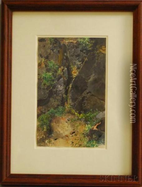 Woodland And Rocks Oil Painting - Otto Seitz