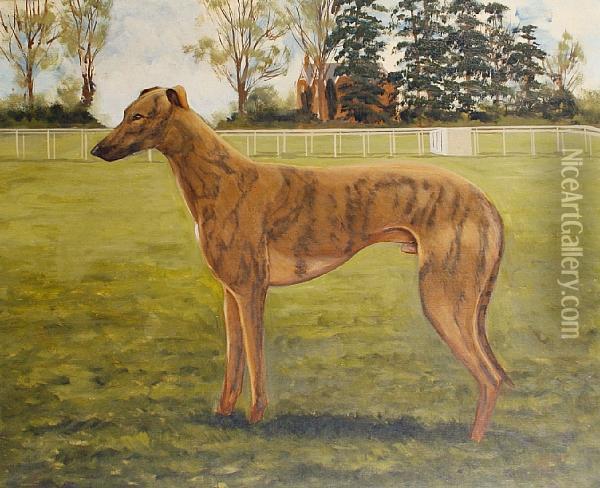 Portrait Of The Champion Greyhound 'captainpike' Oil Painting - Henry Harris