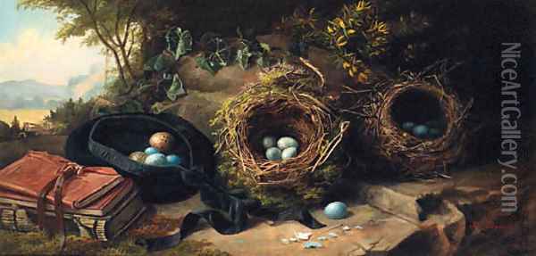 Bird's Eggs and Nests Oil Painting - James Russell Ryott