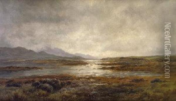 Extensive View At The Upper Lake. Killarney Oil Painting - Alexander Williams