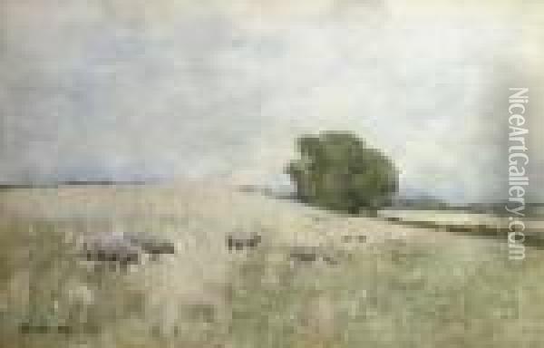 Sheep In A Landscape Oil Painting - Edward Arthur Walton