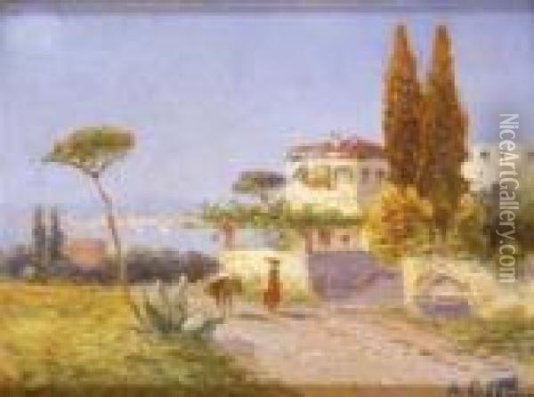 Veduta Del Golfo Di Napoli. Oil Painting - Georg Fischof