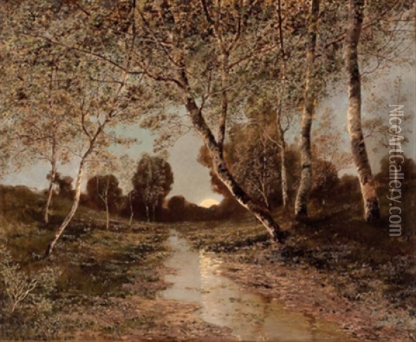 Sonnenuntergang In Von Birken Gesaumter Bachlandschaft Oil Painting - Kalman Mesterhazy