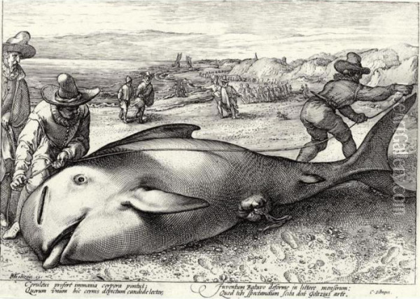 The Stranded Whale At The Shore Of Zandvoort Oil Painting - Hendrick Goltzius
